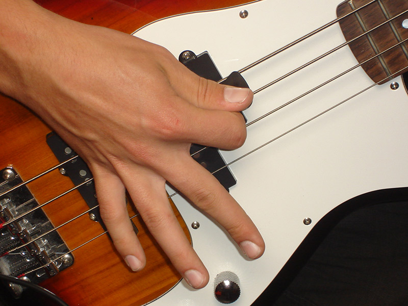 choisir guitare basse selon nombre cordes