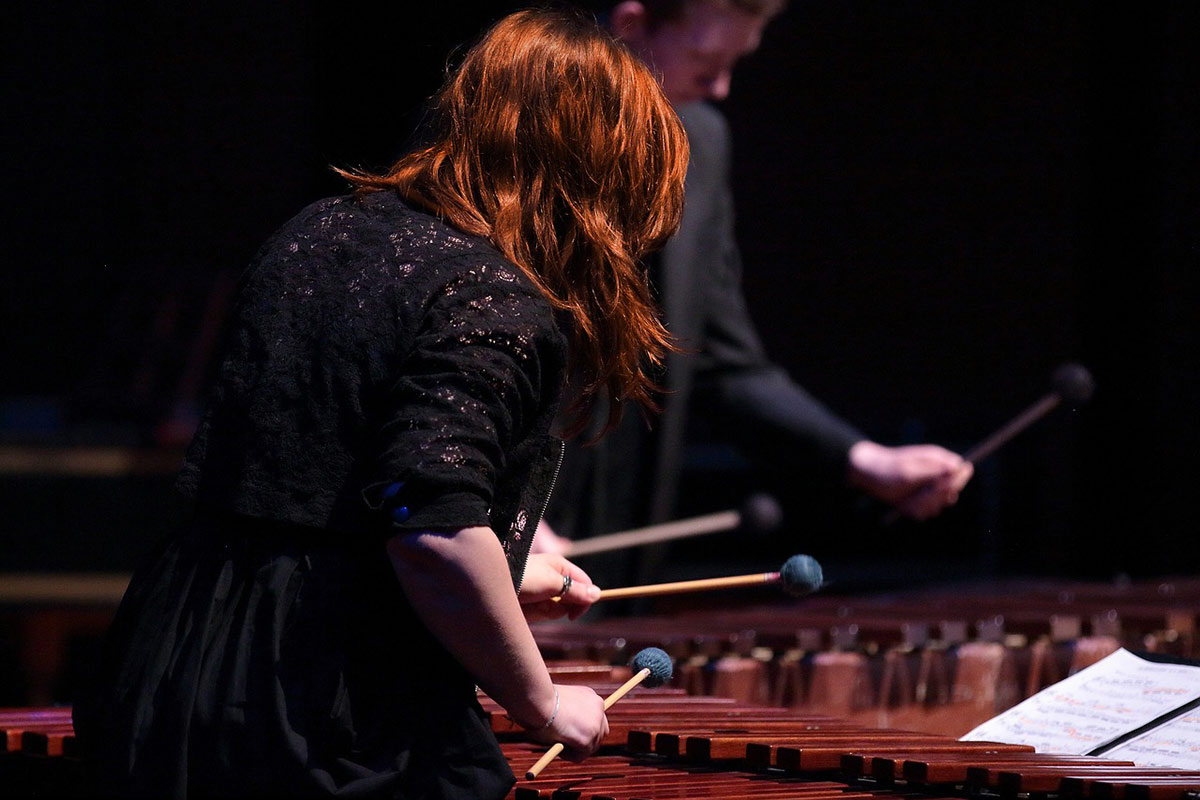 5 meilleurs marimbas classement comparatif