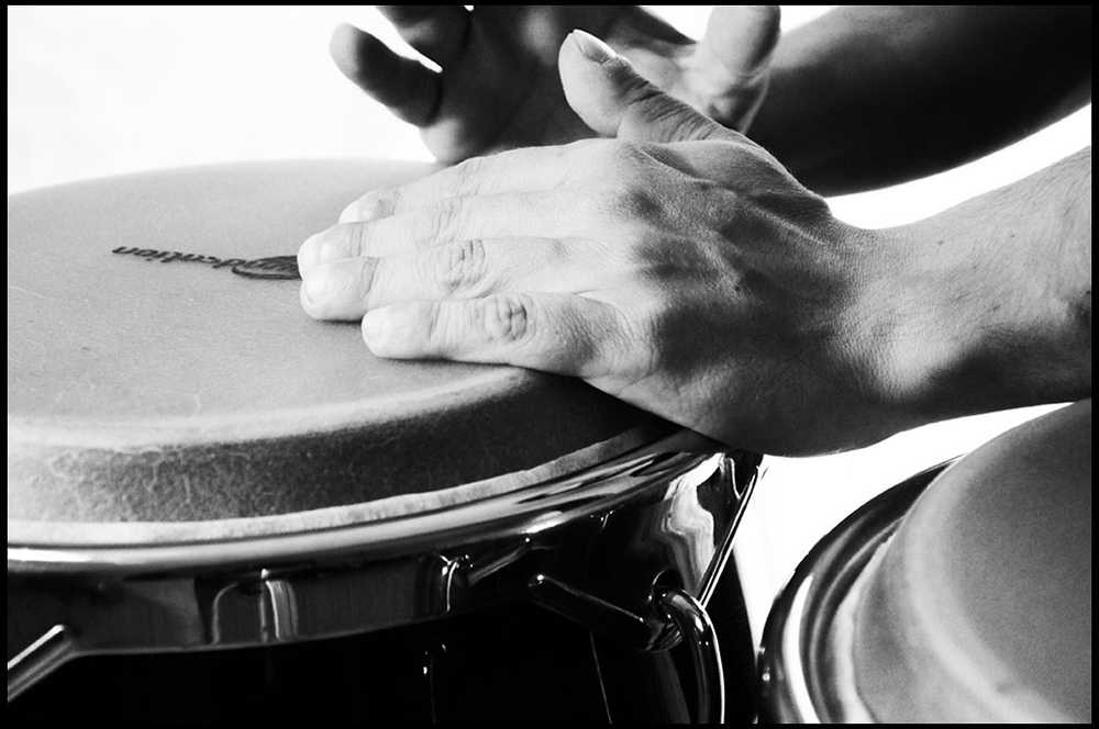 7 meilleurs congas classement comparatif