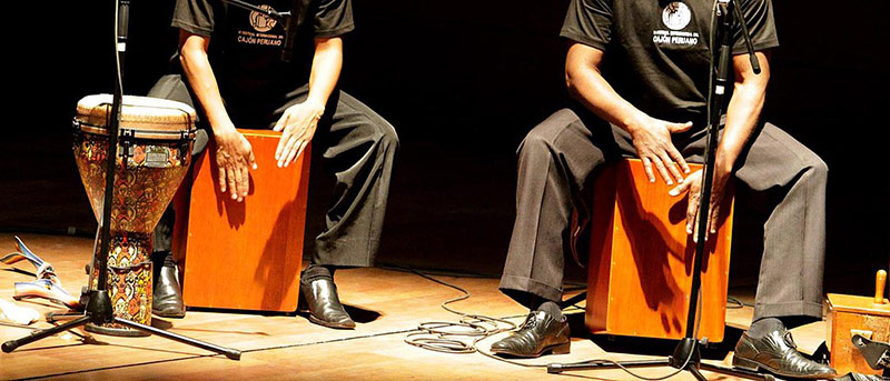 choisir cajon selon utilisation avis