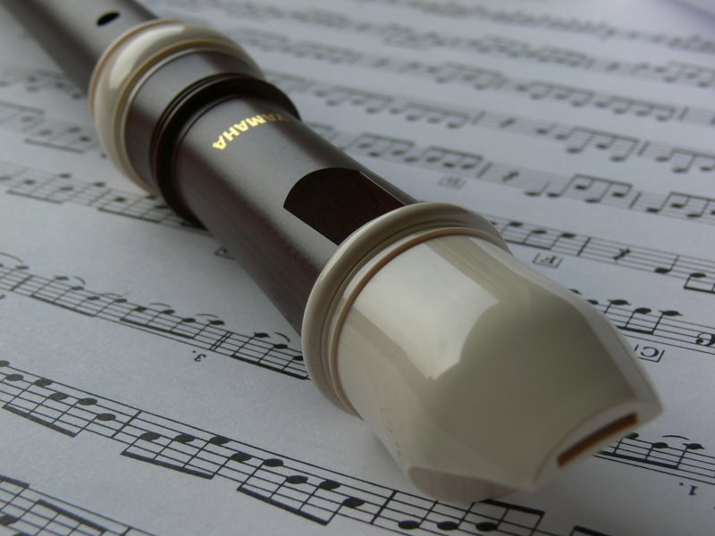 pourquoi choisir flute a bec