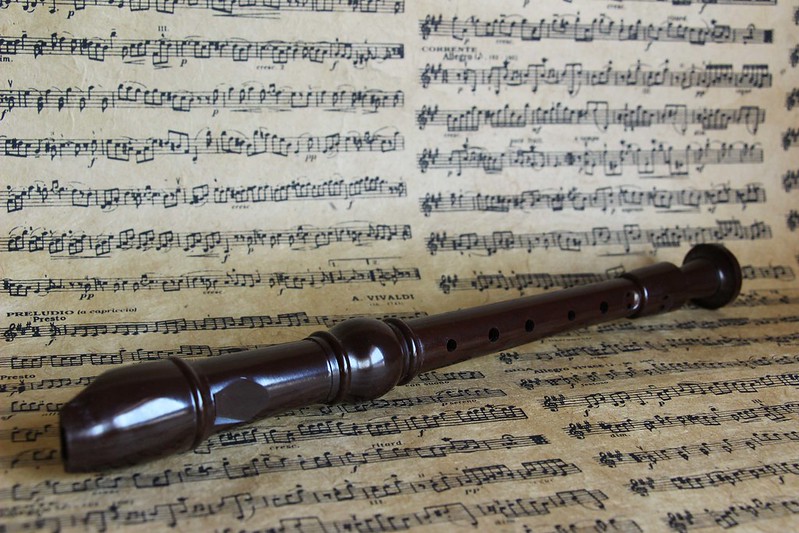 trous doubles simples choisir flute a bec