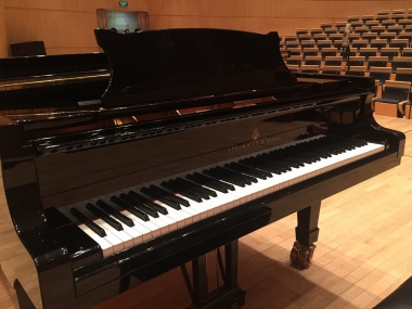les meilleurs pianos queue