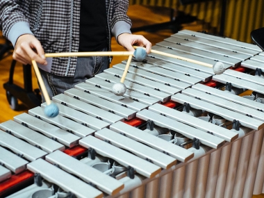 meilleurs vibraphones