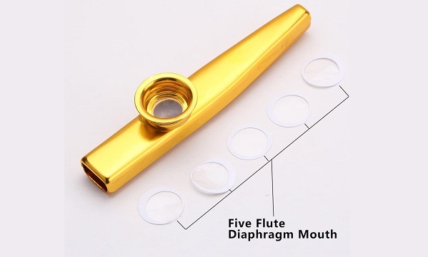 OIBTECH-Kazoo-metal-cinq-membranes