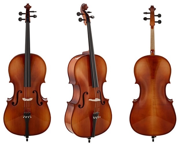Roth-Junius-Europe-Student-Set