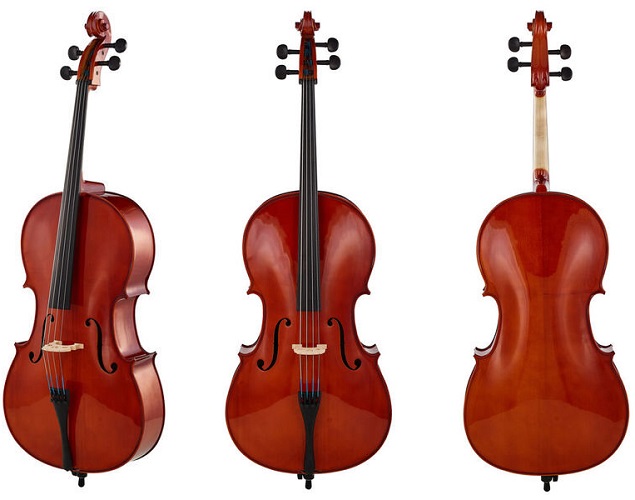 Roth-Junius-RJC-Cello-Set