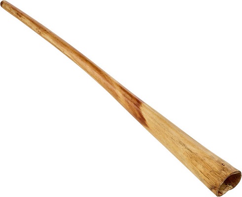 Thomann-Didgeridoo-Eucalypus-Proline-D