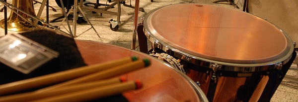 comment-choisir-timbales