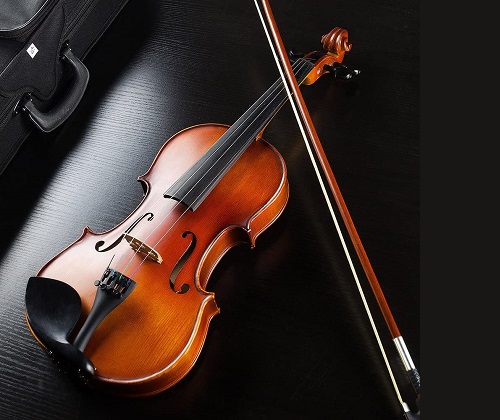 violon-Vangoa