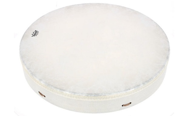 Remo-Buffalo-Drum-22-3.5
