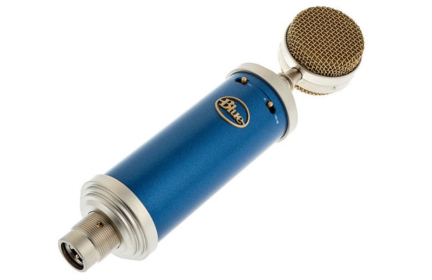 Blue-Bluebird-SL