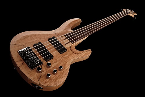 criteres-principaux-choisir-basse-fretless