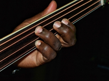 meilleures-basses-fretless