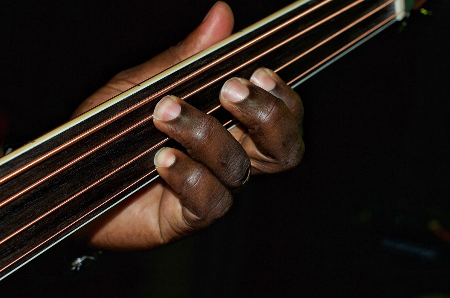 meilleures-basses-fretless