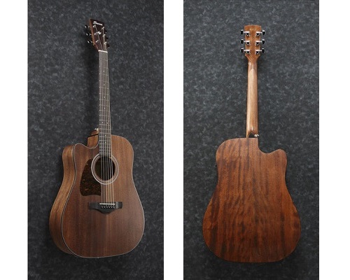 Ibanez-AW54LCE-OPN