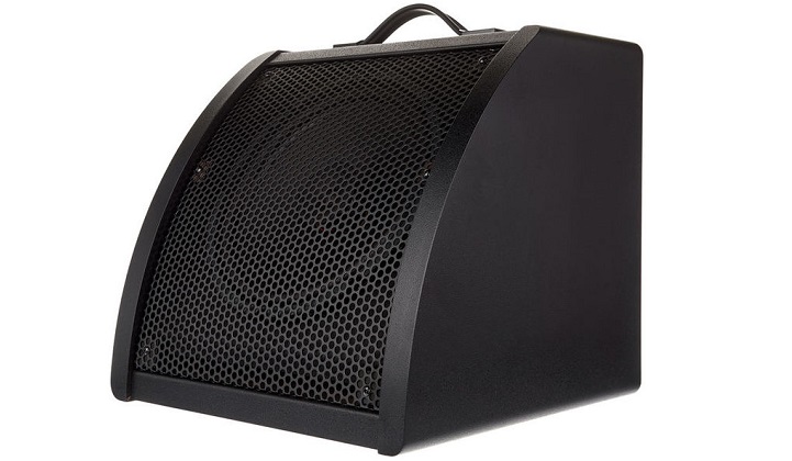 Millenium-DM-30-Drum-Monitor