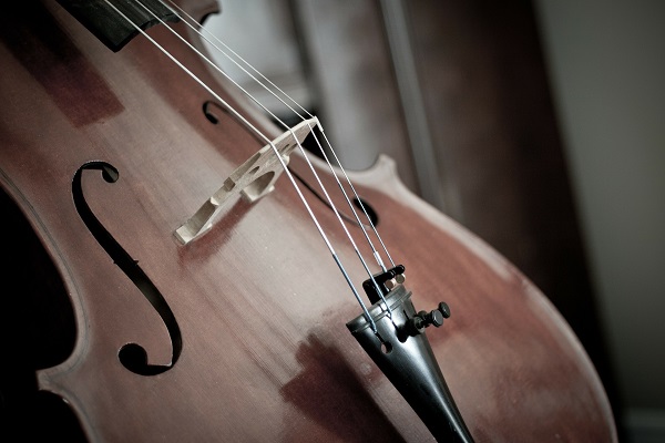 criteres-principaux-choisir-cordes-violoncelle
