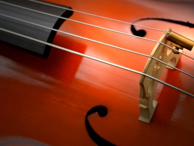 meilleures-cordes-violoncelle