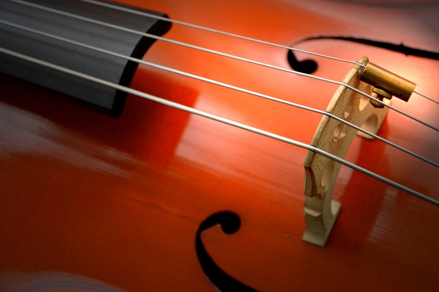 meilleures-cordes-violoncelle