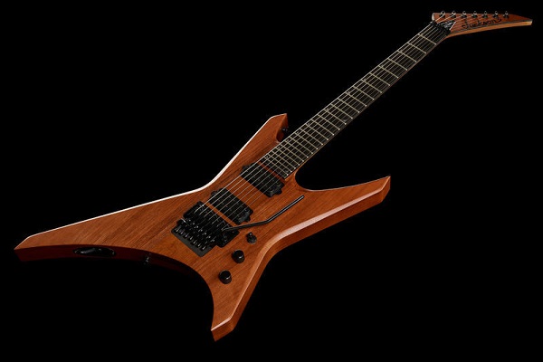 Jackson-Dave-Davidson-Pro-WR7-Waln.St