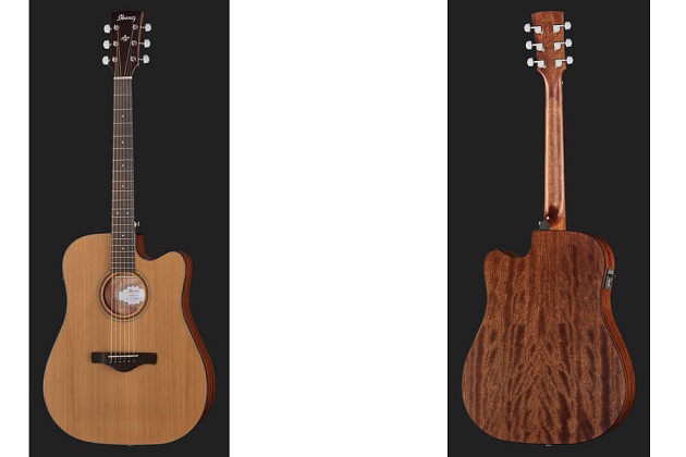 Ibanez-AW65ECE-LG