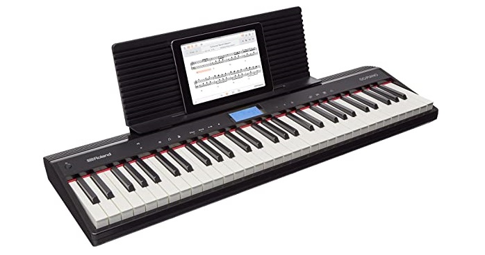 Roland-Go-61P