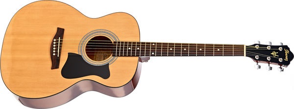 comment-choisir-guitare-Ibanez