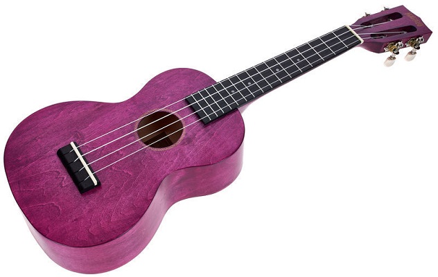 Mahalo-Island-Berry-Crush-Concert-Uku