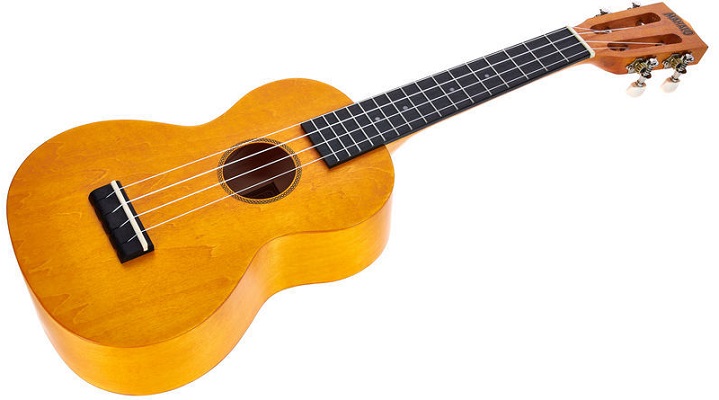 Mahalo-Island-Sunflower-Concert-Uku