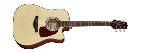 Takamine-GD10CE-N