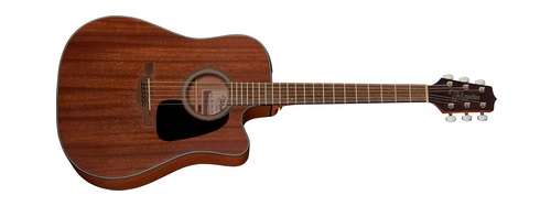 Takamine-GD11MCENS