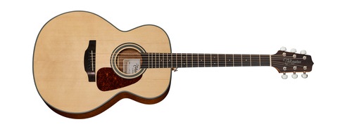 Takamine-GN10-N