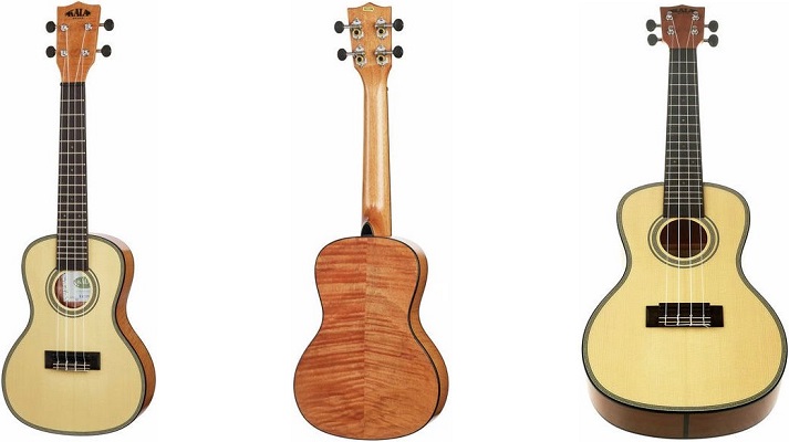Kala-Concert-Ukulele-Exotic
