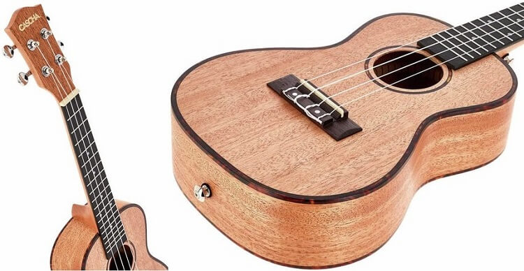 criteres-choix-ukelele-concert