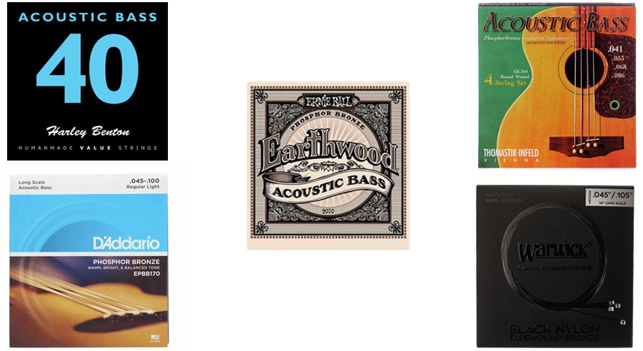 meilleures-cordes-basse-acoustique