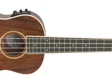 meilleurs-ukuleles-concert