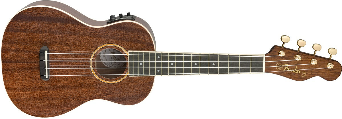 meilleurs-ukuleles-concert