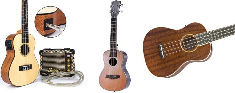 quels-sont-types-ukelele-concert