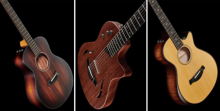 criteres-choix-guitares-Taylor