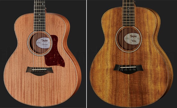 guide-achat-guitares-Taylor