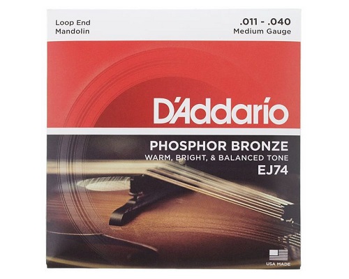 D-Addario-EJ74