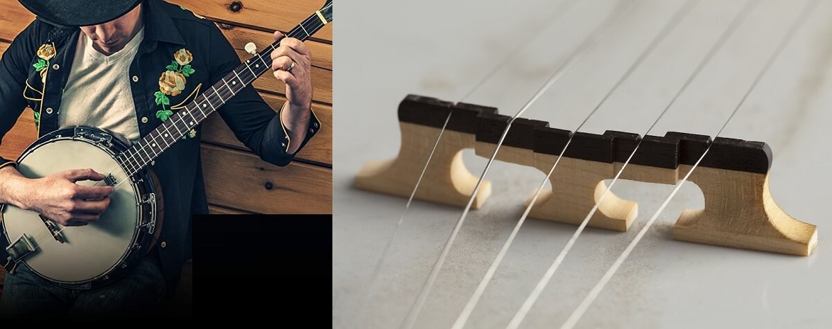 meilleures-cordes-banjos