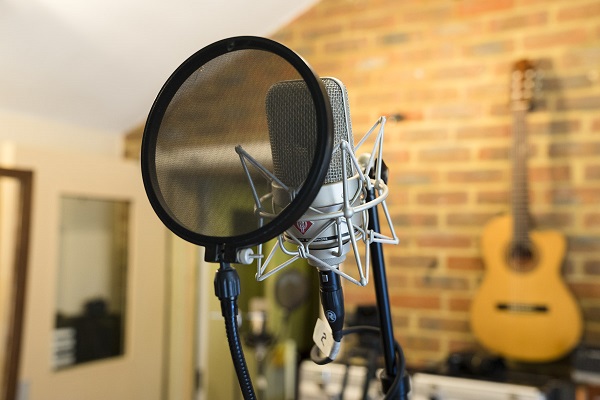 comment-choisir-micro-neumann