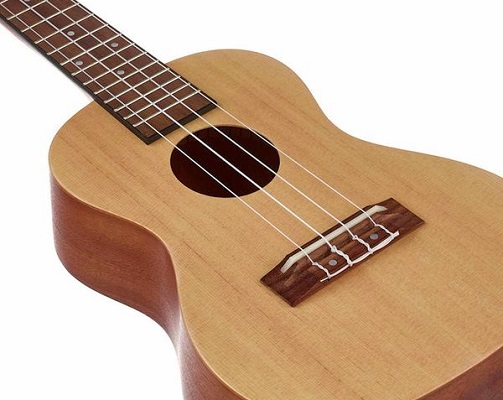 comment-choisir-ukulele-harley-benton