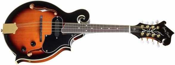 Harley-Benton-HBMA-100E-VS