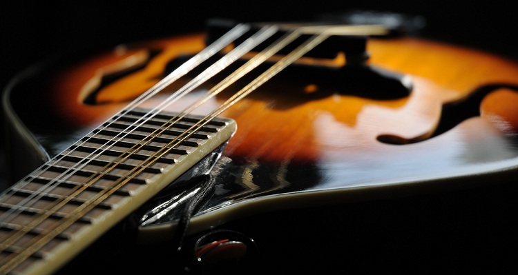 criteres-choix-mandoline-electrique