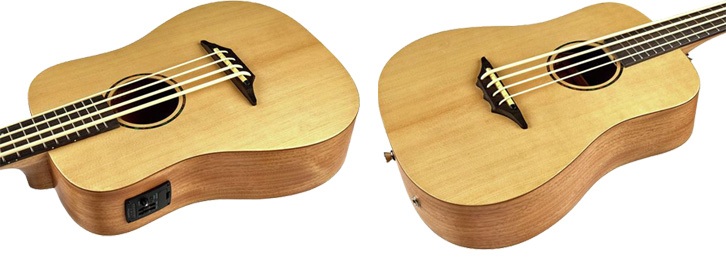 criteres-choix-ukulele-electrique