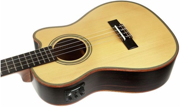guide-comparatif-ukuleles-electriques