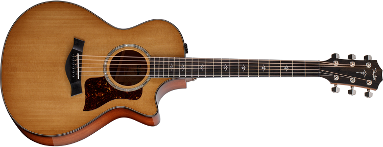 guitare-Taylor